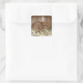 Cute Brown Rabbit in Fresh Hay Vierkante Sticker (Tas)