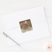 Cute Brown Rabbit in Fresh Hay Vierkante Sticker (Envelop)