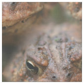 Cute Brown Toad Face Animal Pattern Stof (Close Up)