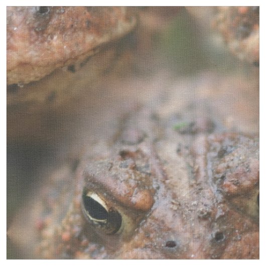 Cute Brown Toad Face Animal Pattern Stof (Close Up)