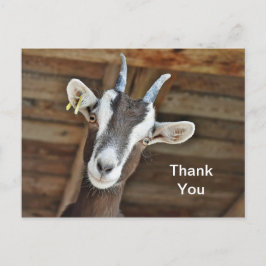 Cute Bruine en Witte Geit Foto Bedankt Briefkaart