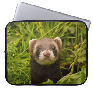 Cute Bruine Fret in het Gras Foto Laptop Sleeve
