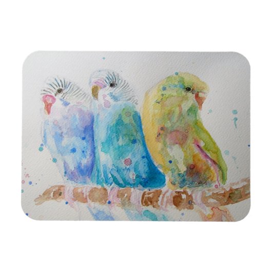 Cute Budgie budgies bird Waterverf Art Magnet Magneet (Horizontaal)