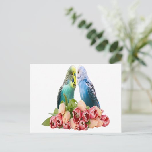 Cute Budgie Design Briefkaart (Staand voorkant)