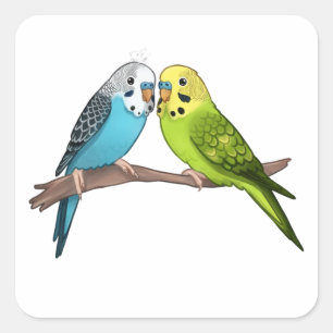 Cute Budgies Vierkante Sticker