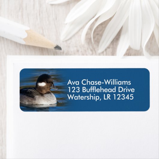 Cute Bufflehead Duck bij Pond Etiket (Insitu)
