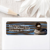 Cute Bufflehead Duck op Sunlit Watts Etiket (Insitu)