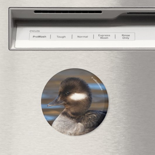 Cute Bufflehead Duck op Sunlit Watts Magneet (Insitu (Vaatwasser))