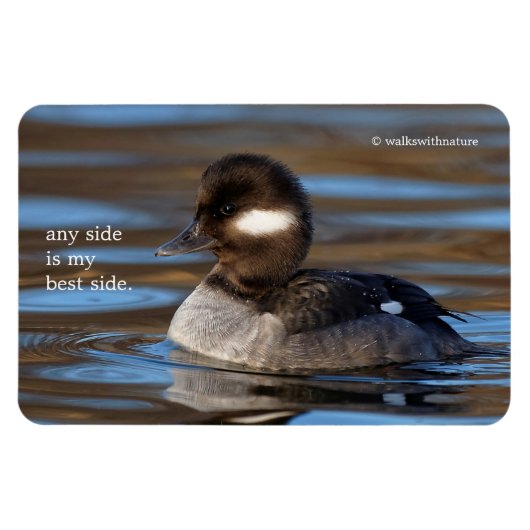 Cute Bufflehead Duck op Sunlit Watts Magneet (Horizontaal)