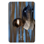 Cute Bufflehead Duck op Sunlit Watts Magneet (Verticaal)