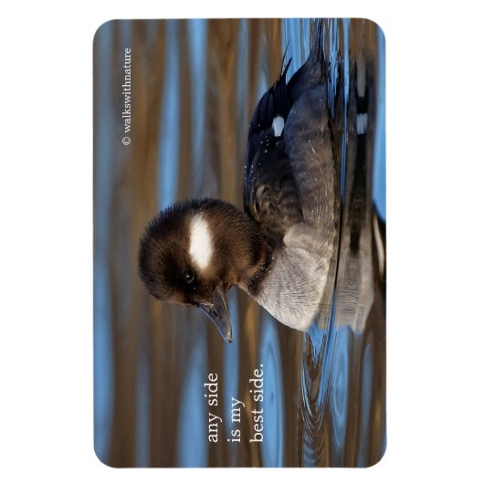 Cute Bufflehead Duck op Sunlit Watts Magneet (Verticaal)
