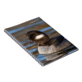 Cute Bufflehead Duck op Sunlit Watts Notitieboek (Rechterzijde)