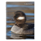 Cute Bufflehead Duck op Sunlit Watts Notitieboek (Voorkant)