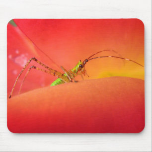 Cute Bug in een rode Oranje Roos ventilator Muismat