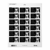 Cute Bull Terrier dog art Etiket (Full Sheet)
