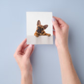 Cute Bulldog | Echt gemeen, Engelse Bulldog Flyer (Hand)