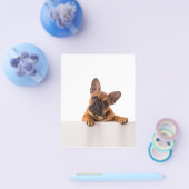 Cute Bulldog | Echt gemeen, Engelse Bulldog Flyer (Enkel)