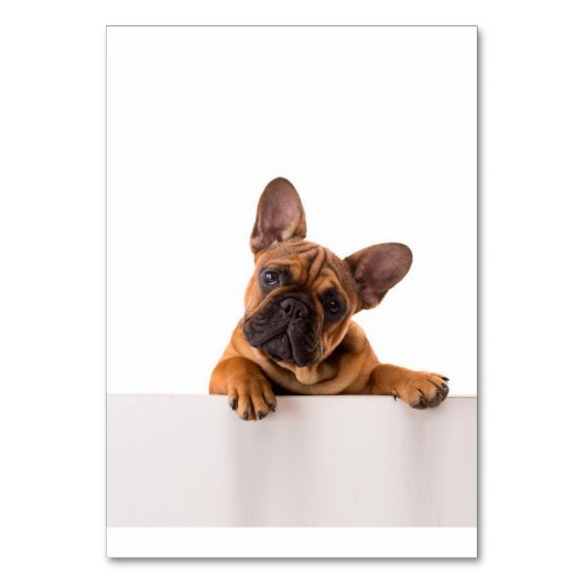 Cute Bulldog | Echt gemeen, Engelse Bulldog Kaart (Voorkant)