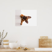 Cute Bulldog | Echt gemeen, Engelse Bulldog Poster (Keuken)