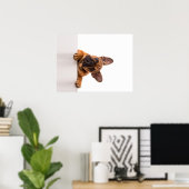 Cute Bulldog | Echt gemeen, Engelse Bulldog Poster (Thuiskantoor)