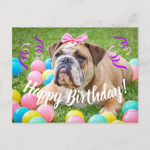 Cute Bulldog Happy Birthday Briefkaart