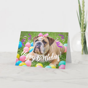 Cute Bulldog Happy Birthday Kaart