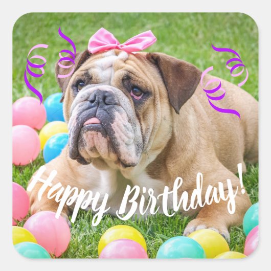 Cute Bulldog Happy Birthday Vierkante Sticker (Voorkant)