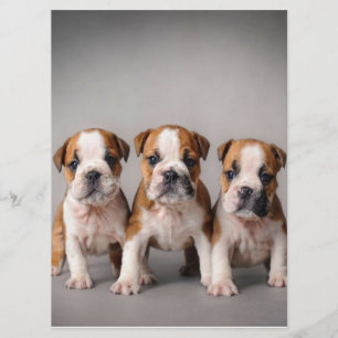Cute Bulldog Puppies Hondenliefhebbers Cadeau Menu