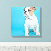Cute Bulldog Puppy Canvas Afdruk (Insitu (Houten vloer))