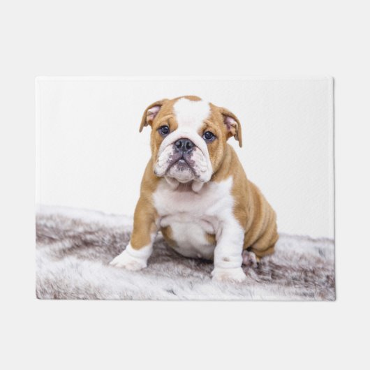 Cute Bulldog Puppy Deurmat (Voorkant)