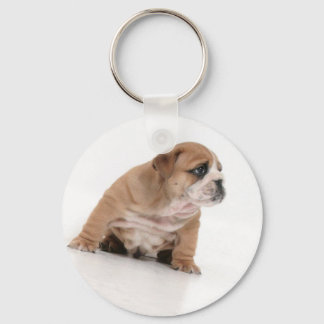 Cute bulldog puppy key ring sleutelhanger