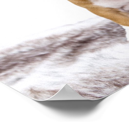 Cute Bulldog Puppy Poster (Hoek)