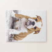 Cute Bulldog Puppy Sitting Down Legpuzzel (Horizontaal)