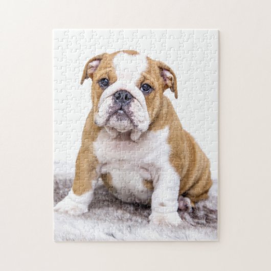 Cute Bulldog Puppy Sitting Down Legpuzzel (Verticaal)