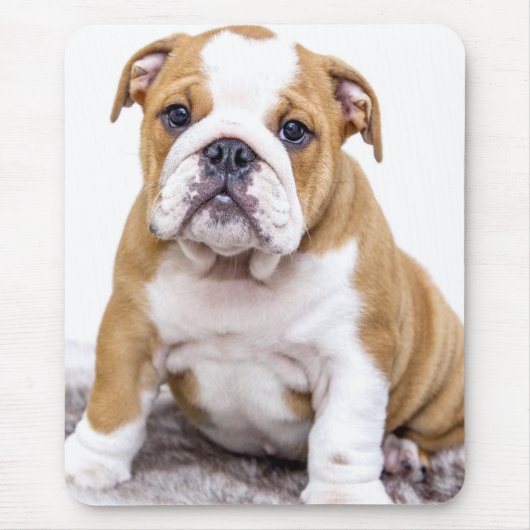 Cute Bulldog Puppy Sitting Down Muismat (Voorkant)