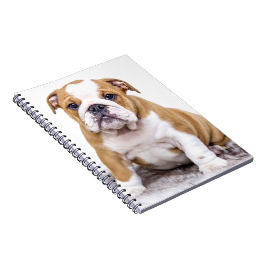 Cute Bulldog Puppy Sitting Down Notitieboek (Rechterzijde)