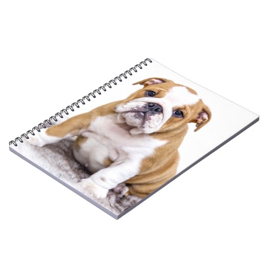 Cute Bulldog Puppy Sitting Down Notitieboek (Linkerzijde)
