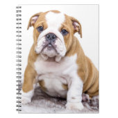 Cute Bulldog Puppy Sitting Down Notitieboek (Voorkant)