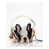 Cute Bulldog Sleeping | Engelse Bulldog Lover Foto Afdruk (Voorkant)