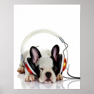 Cute Bulldog Sleeping   Engelse Bulldog Lover Poster