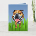 Cute Bulldog Wenskaart Feestdagen Kaart<br><div class="desc">Ik ben een enorm dierenvriend en ik pleit voor hen en creeer kunst/cartoon is mijn passie. U kunt deze kaart eenvoudig aanpassen door op de blauwe knop "Bewerken of personaliseren" te klikken. Als je wilt dat je hond in deze cartoon mode Zazzle producten van je keuze aanbrengt, stuur dan een...</div>