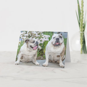Cute Bulldogs Happy Jubileum, gepersonaliseerd Kaart