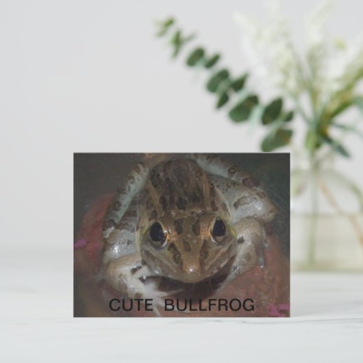 CUTE BULLFROG BRIEFKAART (Staand voorkant)