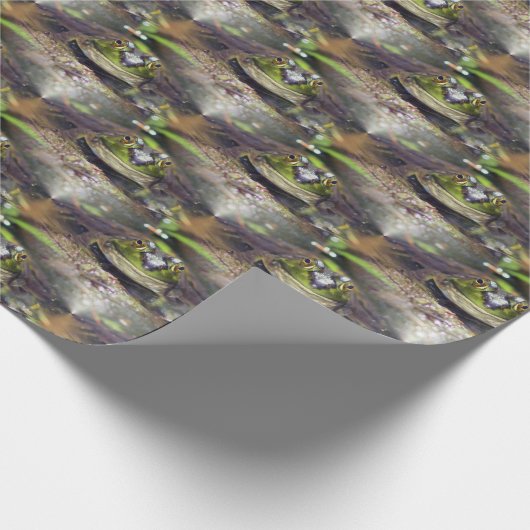 Cute Bullfrog Face Animal Natuur Pattern Cadeaupapier (Hoek)