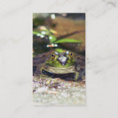Cute Bullfrog Natuur Fotografie Visitekaartje (Achterkant)