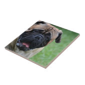 Cute Bullmastiff Tegeltje (Zijkant)