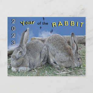 Cute Bunnies 2023 Year of the Rabbit Briefkaart