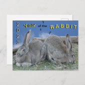 Cute Bunnies 2023 Year of the Rabbit Briefkaart (Voorkant / Achterkant)