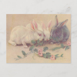 Cute  Bunnies Briefkaart