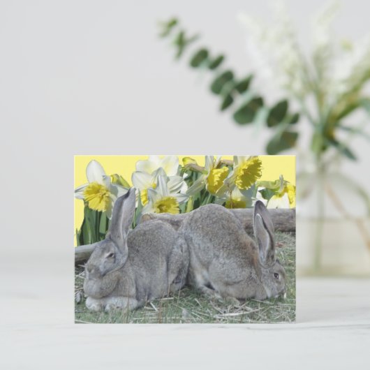 Cute Bunnies Daffodils Cust. DIY BRIEFKAART (Staand voorkant)